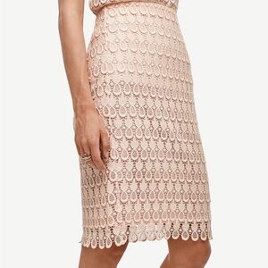 LIKE NEW Ann Taylor Lace Pineapple Pencil Skirt in Light Pink/Blush size 8